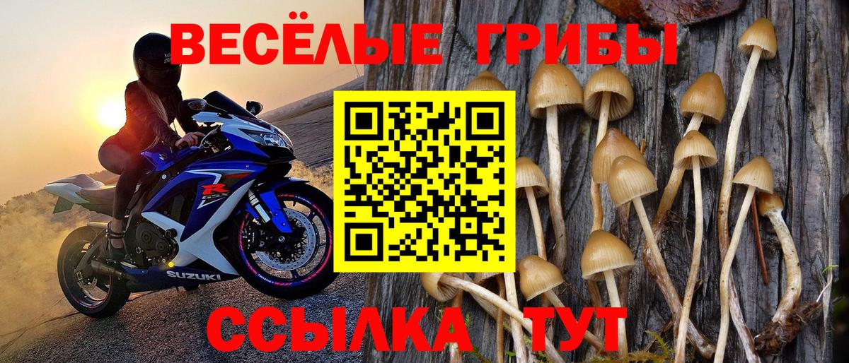 Псилоцибиновые грибы Magic Shrooms  что такое   Озёры  Галлюциногенные грибы Cubensis  Вход с VPN 