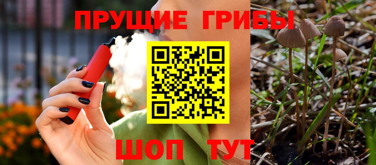Псилоцибиновые грибы мухоморы Озёры